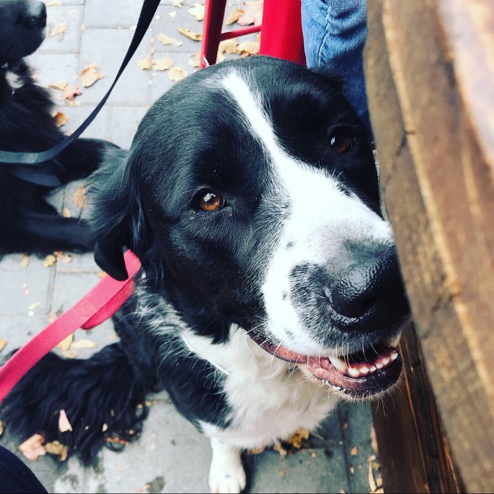 Meet your Posher, Jesse
